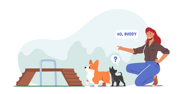 快乐女人在公园户外训练狗图片下载