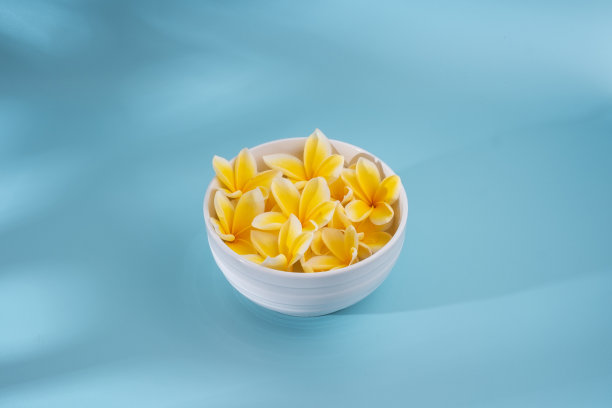 蓝色背景上的鸡蛋花图片下载