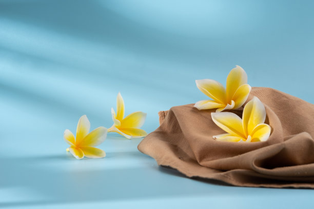 蓝色背景上的鸡蛋花图片下载