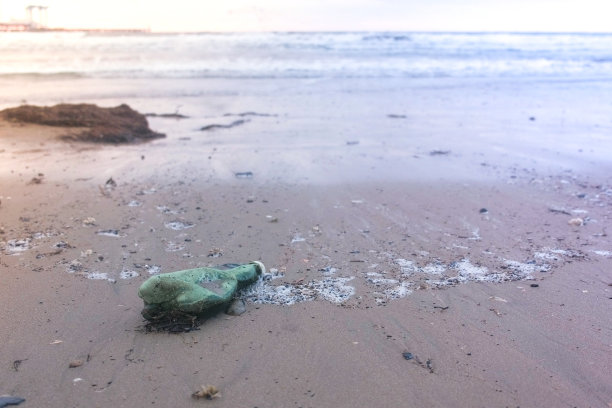 海边的绿色塑料瓶和沙滩上的海藻。图片下载