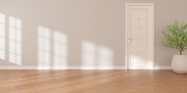 白色空房间的3D渲染，木地板和阳光投射在墙上的阴影。白色的门和植物瓶。图片下载