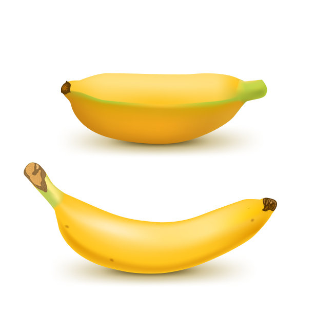 设置现实的香蕉和芭蕉孤立图片下载