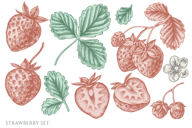 设置手绘彩色草莓图片下载