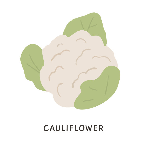 有机生花椰菜在平坦的风格自然图片下载