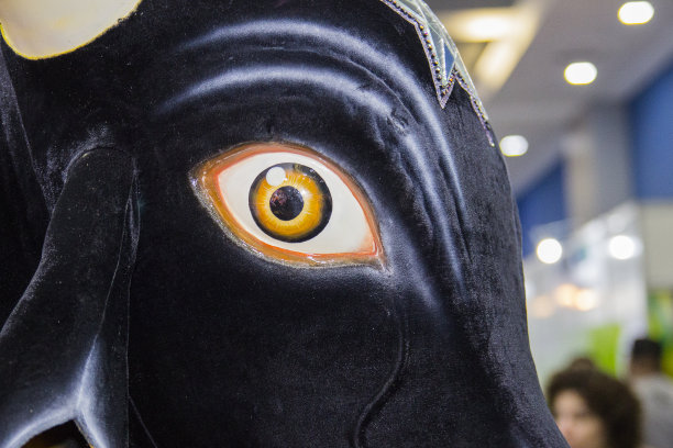 巴西里约热内卢里约热内卢的牛头装饰品。图片下载