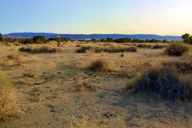 加利福尼亚州沙漠景观图片下载