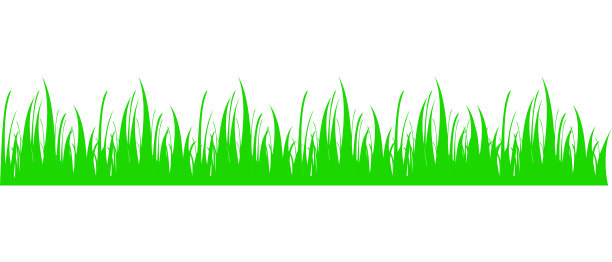 绿草草甸。春季或夏季种植草坪。草地的背景图片下载