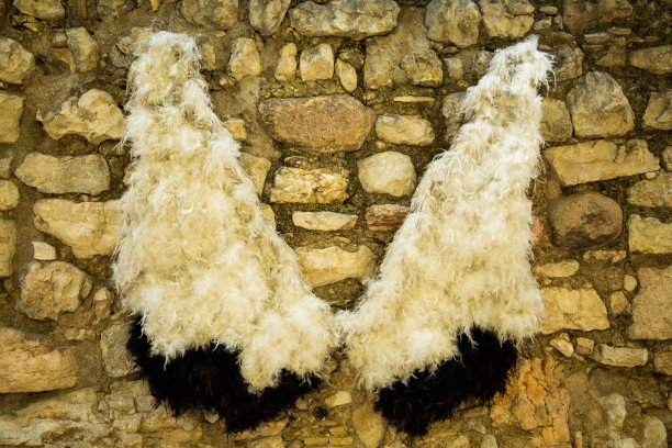 天使在墙前展翅，展翅，意大利图片下载