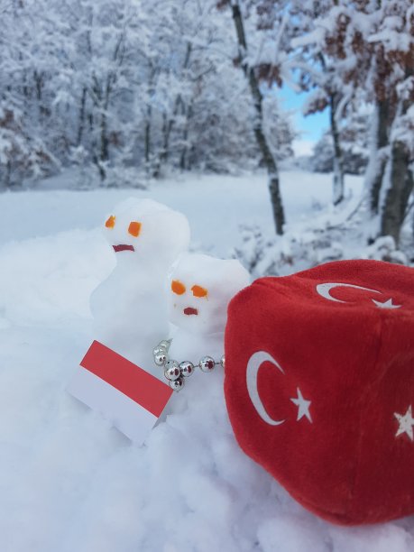 一对结了婚的雪人和雪人女人图片下载