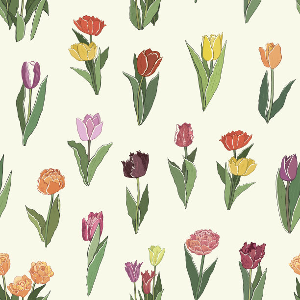 郁金香花的春天矢量插图图案图片下载