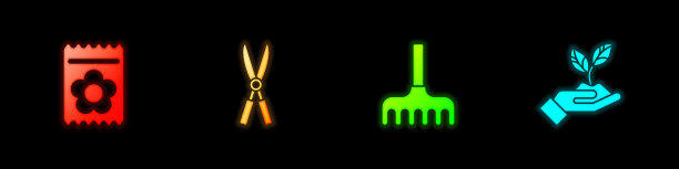 集装满种子种植园艺图片下载