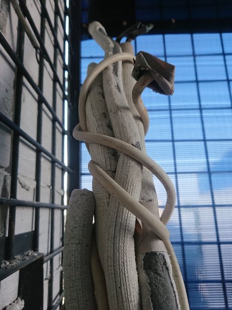 软管电缆图片下载