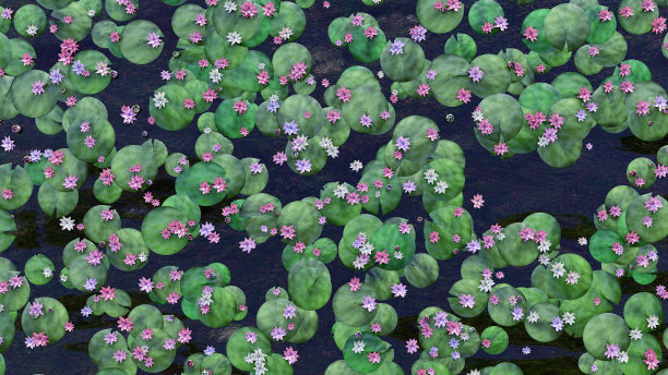 睡莲在池塘中开花，水的三维插图图片下载