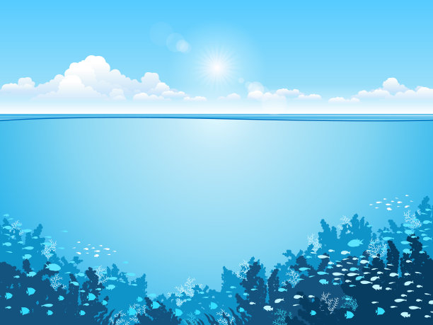 有动物的海洋水下世界图片下载