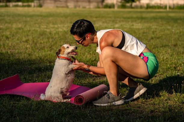 年轻的运动女人与短黑色头发训练户外瑜伽垫在绿色的草地在公园，活动与狗，杰克罗素梗散步图片下载