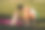 年轻的运动女人与短黑色头发训练户外瑜伽垫在绿色的草地在公园，活动与狗，杰克罗素梗散步图片下载