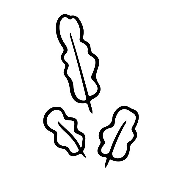 热带草，叶子风格化矢量插图。涂鸦插图。棕榈树雨林的叶子孤立在白色的背景上。图片下载