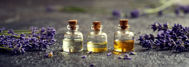 全景头部或旗帜与三瓶香薰精油图片下载