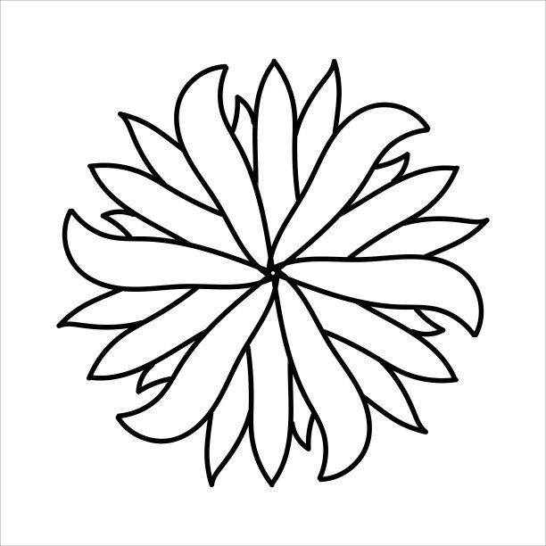 紫菀花为剪贴画或网页设计在白色背景上的黑色线条图片下载