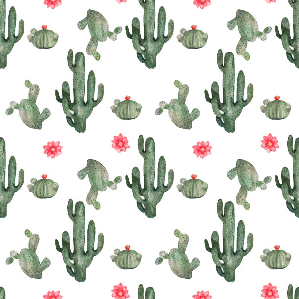 水彩无缝模式与仙人掌。无缝设计在白色背景与沙漠仙人掌。图片下载