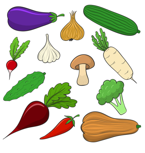 一套新鲜多汁的蔬菜，夏秋丰收，手绘白色为图案图片下载