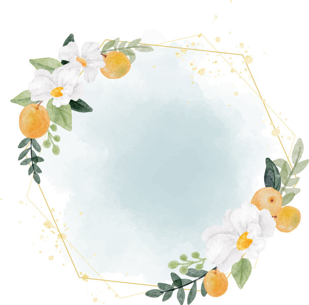 水彩白色花和橙色水果花环图片下载