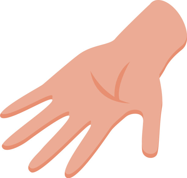 手手掌图标等距风格图片下载