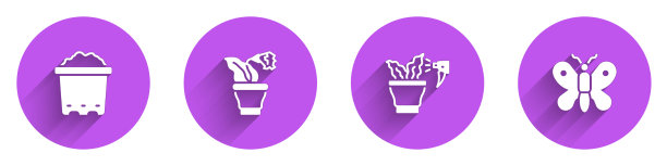 在花盆喷洒植物中放置土壤花图片下载