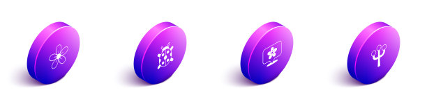 设置等距花瓢虫位置图片下载