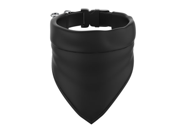 空白宠物Bandana和领子的模型。图片下载