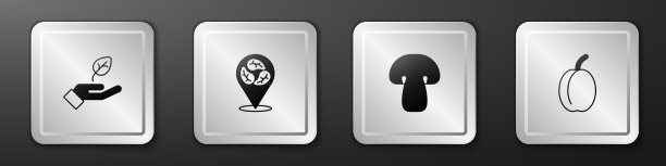 集植物在手素食饮食蘑菇和图片下载