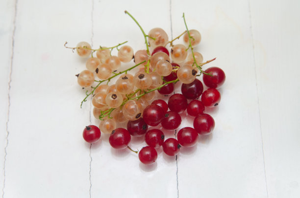 红色和白色醋栗浆果在浅色背景上。图片下载