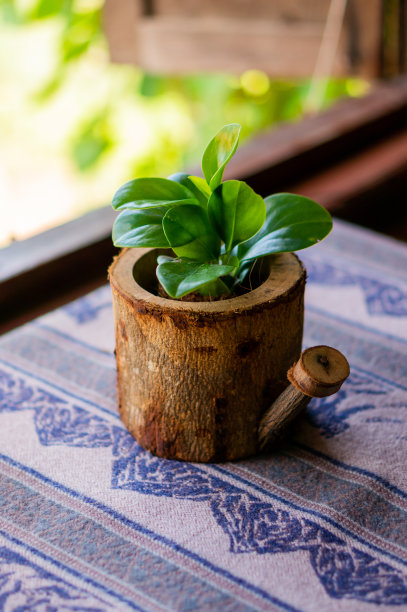 栽在花盆里图片下载