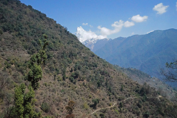 尼泊尔，在乌云密布的蓝天下，徒步前往戈雷帕尼潘山欣赏绿色山景图片下载