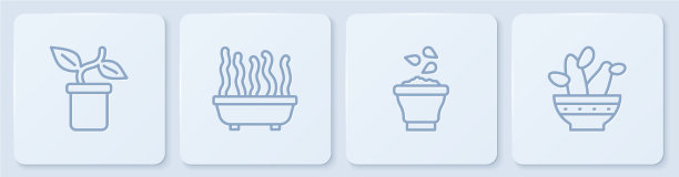 在花盆种子碗和仙人掌中放置线植物图片下载