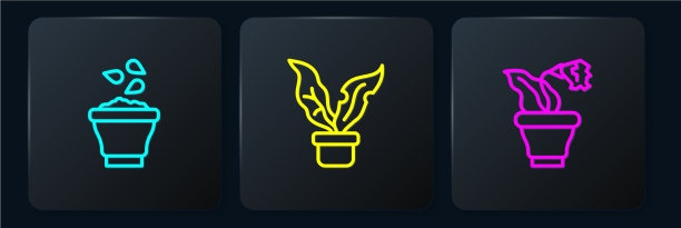 将线种子放入碗花盆中种植图片下载