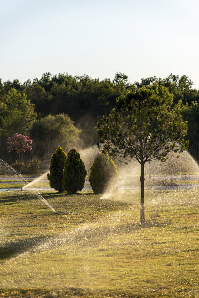 日落时观赏园的自动灌溉系统图片下载
