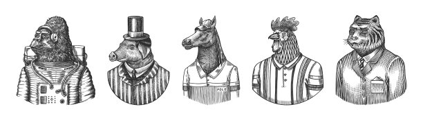 大猩猩猴子宇航员猪理发师还是图片下载