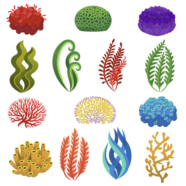 海藻和珊瑚卡通水底礁植物图片下载