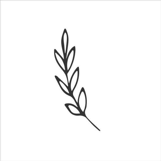 可爱简单的手绘树叶树枝孤立图片下载