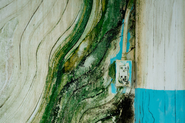 墙上的插座很旧，墙上有自来水和苔藓的痕迹，使用起来很危险。图片下载