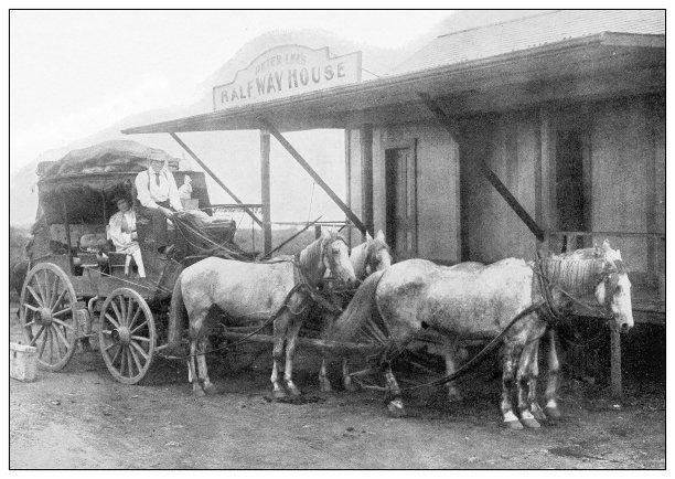 古董黑白照片:马车，夏威夷图片下载