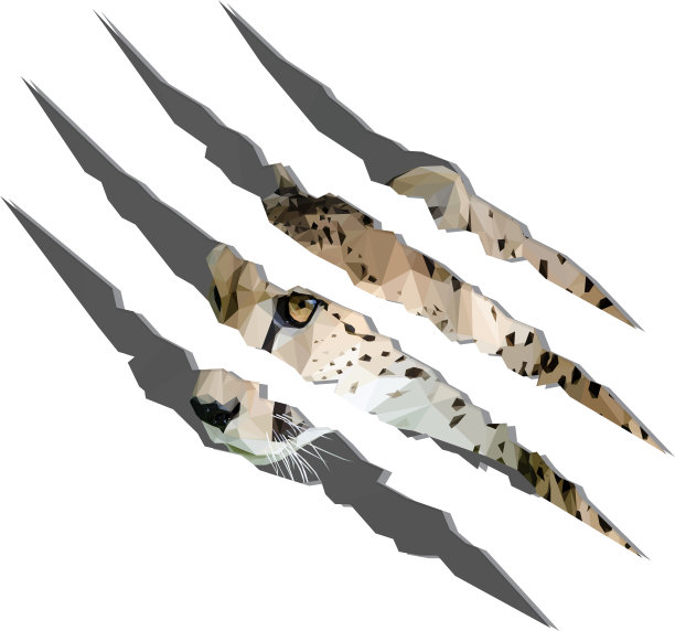 非洲猎豹爪子的低多边形插图图片下载