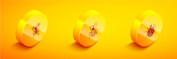 集等长甲虫、鹿、金龟子、螨等图片下载