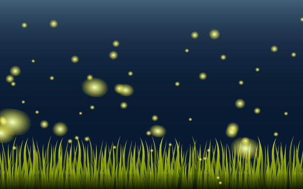 矢量插图发光的萤火虫，闪电虫孤立在黑暗的背景。图片下载