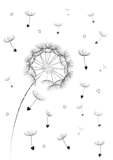 蒲公英花籽在一颗心形飞图片下载