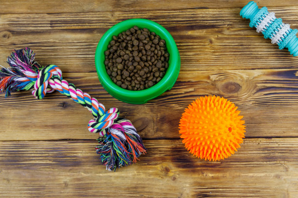 木制背景的绿色塑料碗里装着狗玩具和狗饲料。前视图。狗护理的概念图片下载
