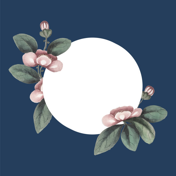 国画以花为主，空白圆图片下载