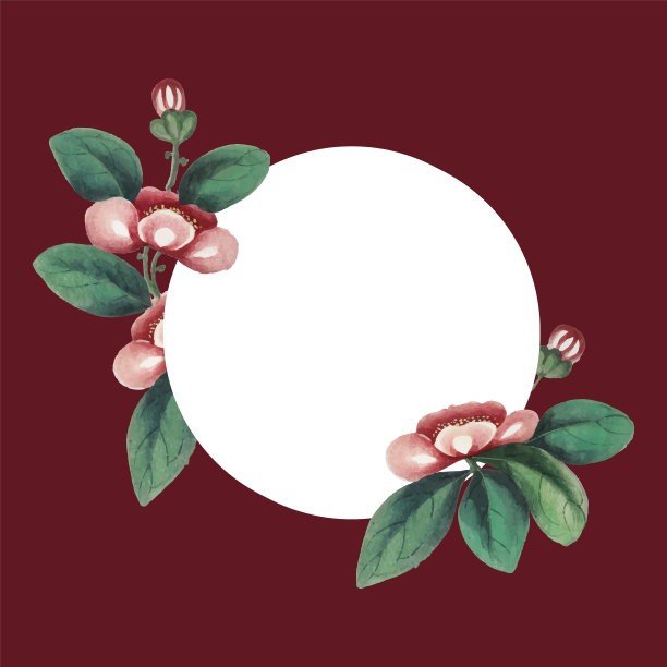 国画以花为主，空白圆图片下载
