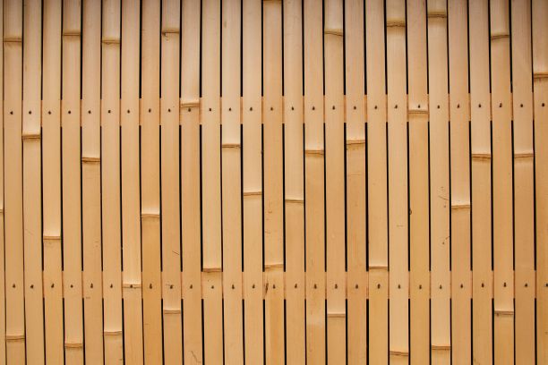 竹篱笆图片下载